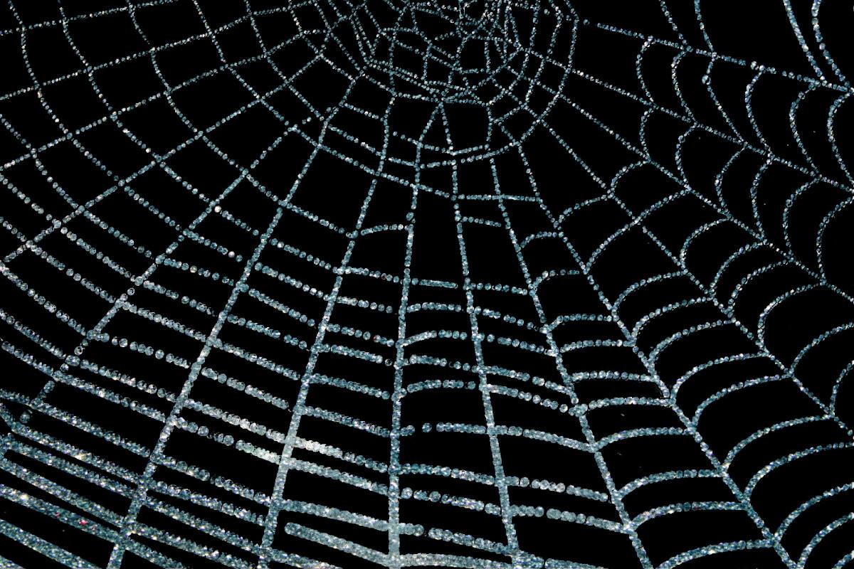 Glittering Blue Spider Web