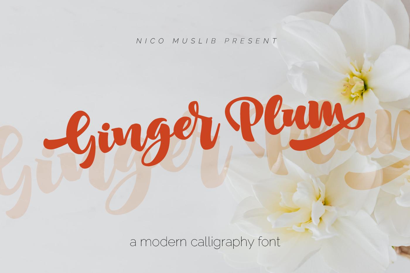 Ginger Plum Font