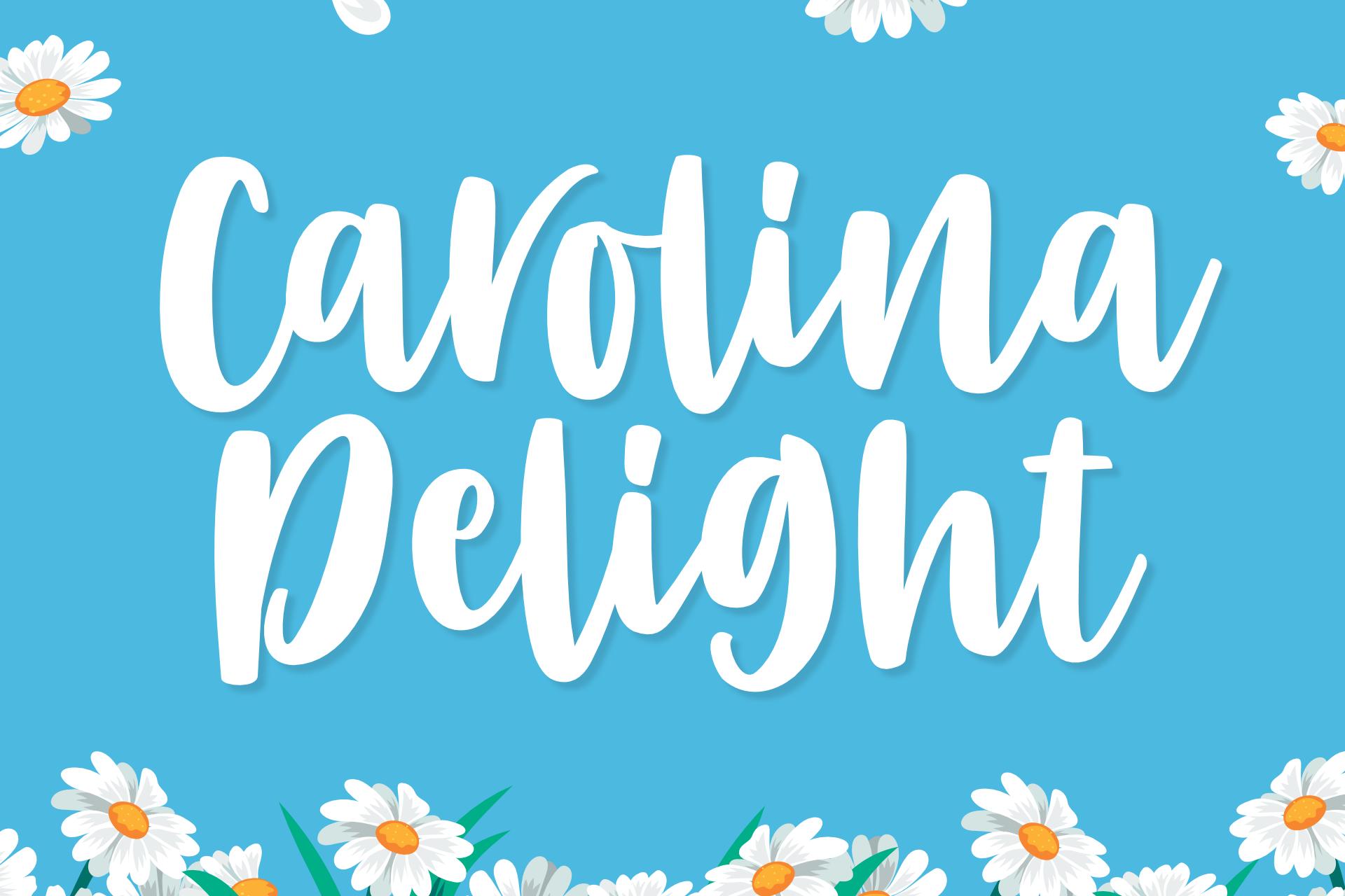 Carolina Delight Font