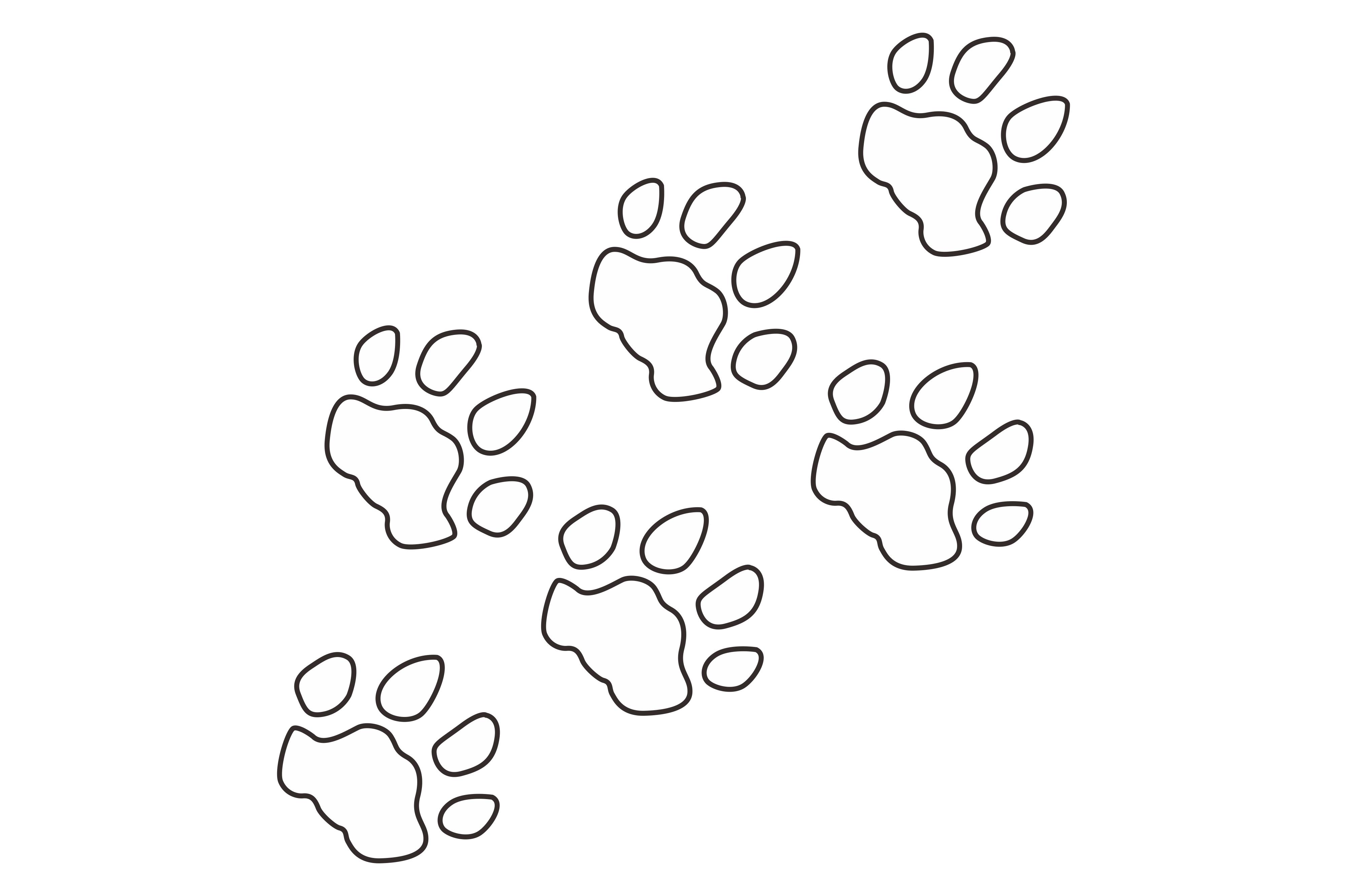 Dog Cat Paw Animal Track Footprint