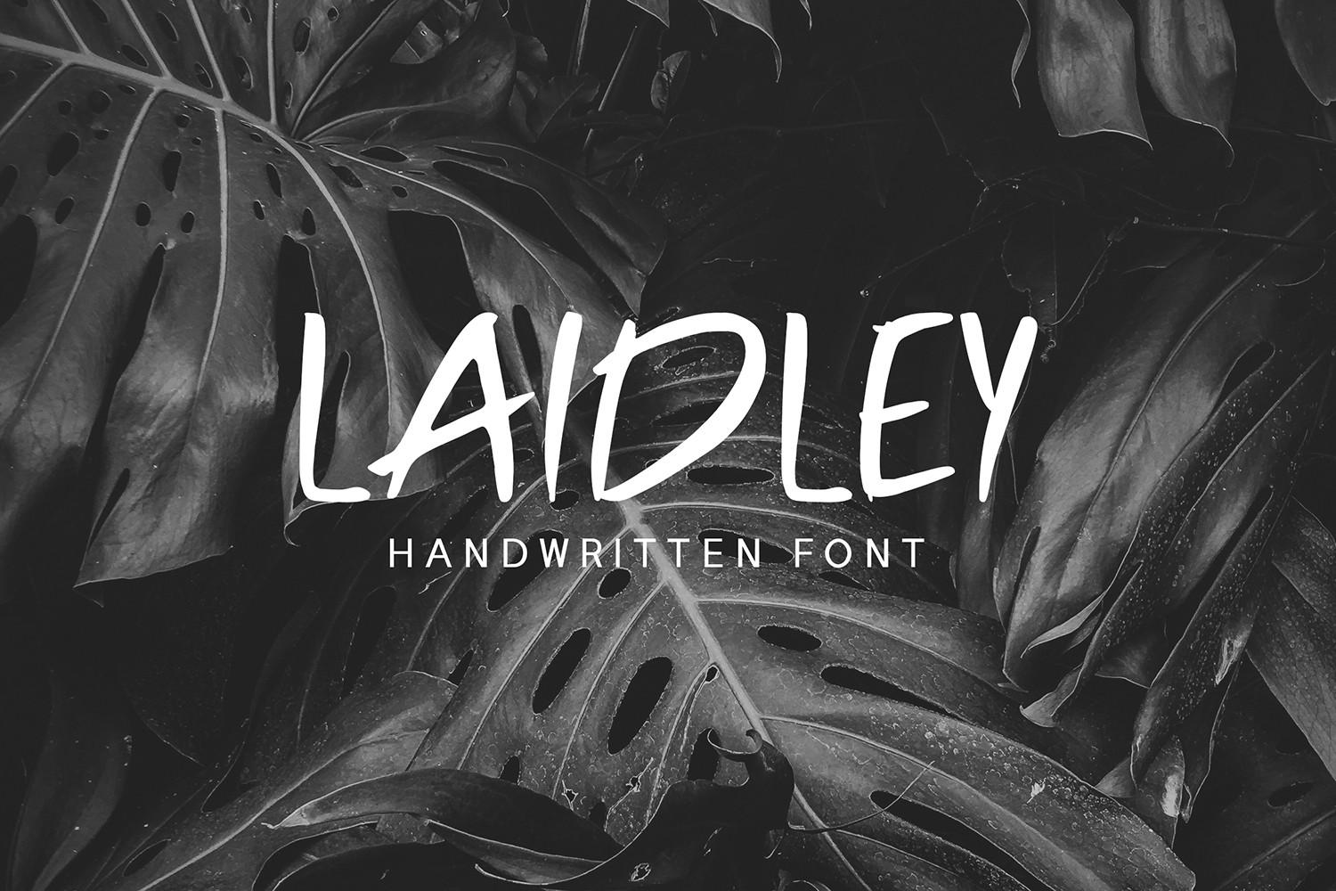 Laidley Font