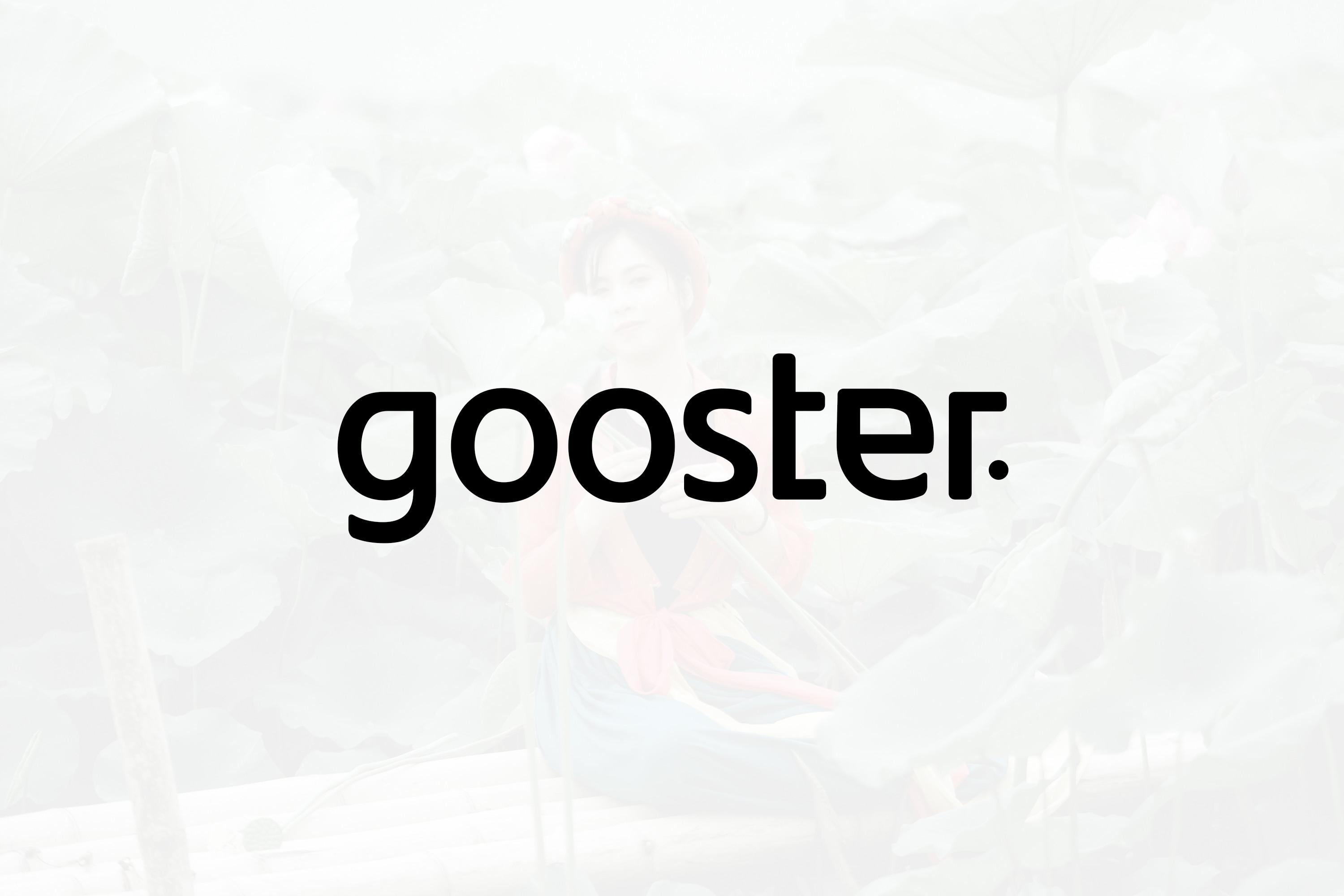 Gooster Font