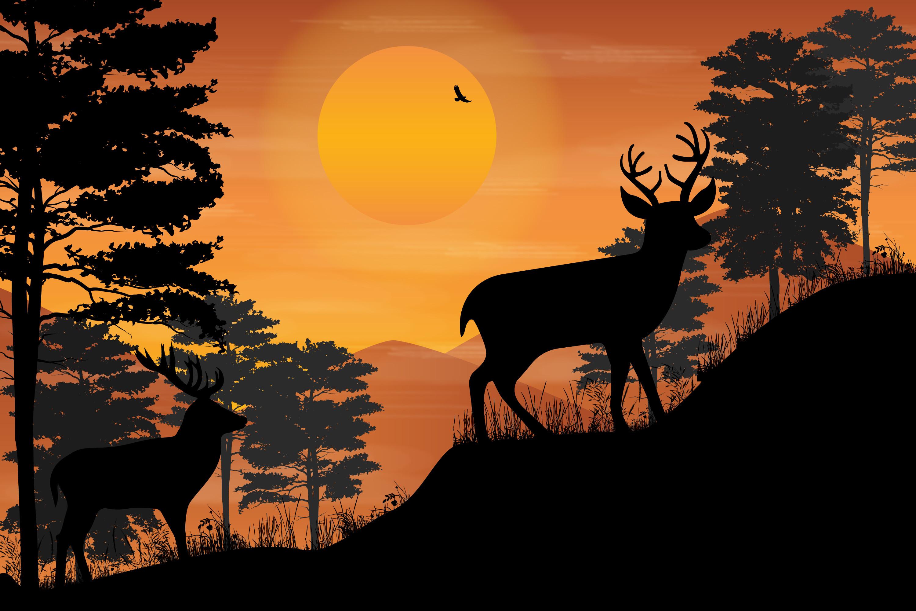 Cute Deer Animal Silhouette Graphic