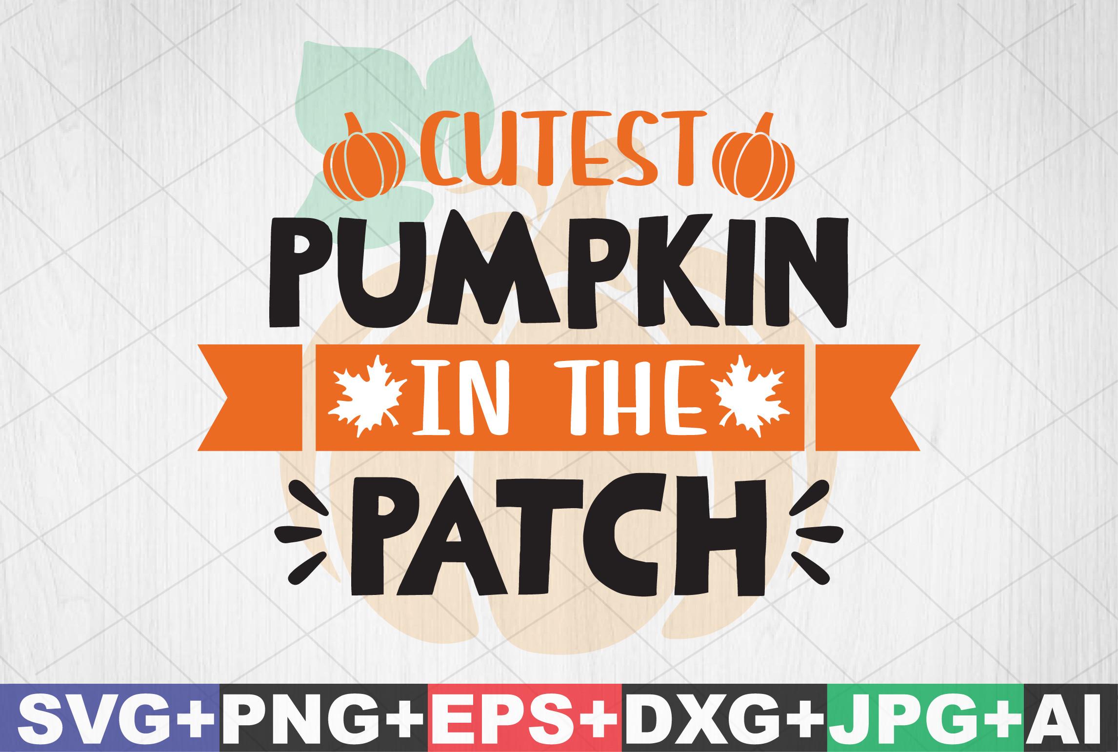 Cutest Pumpkin in the Patch