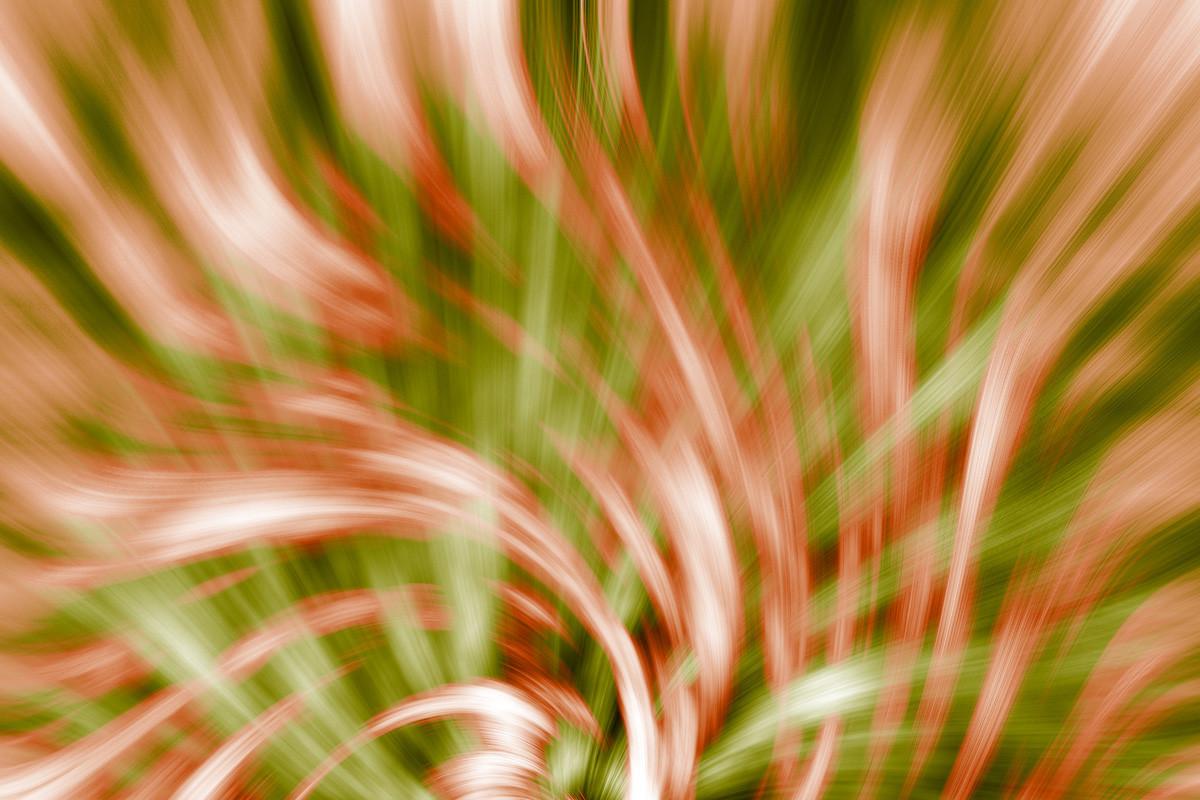 Abstract Swirly Pattern Background Illustration