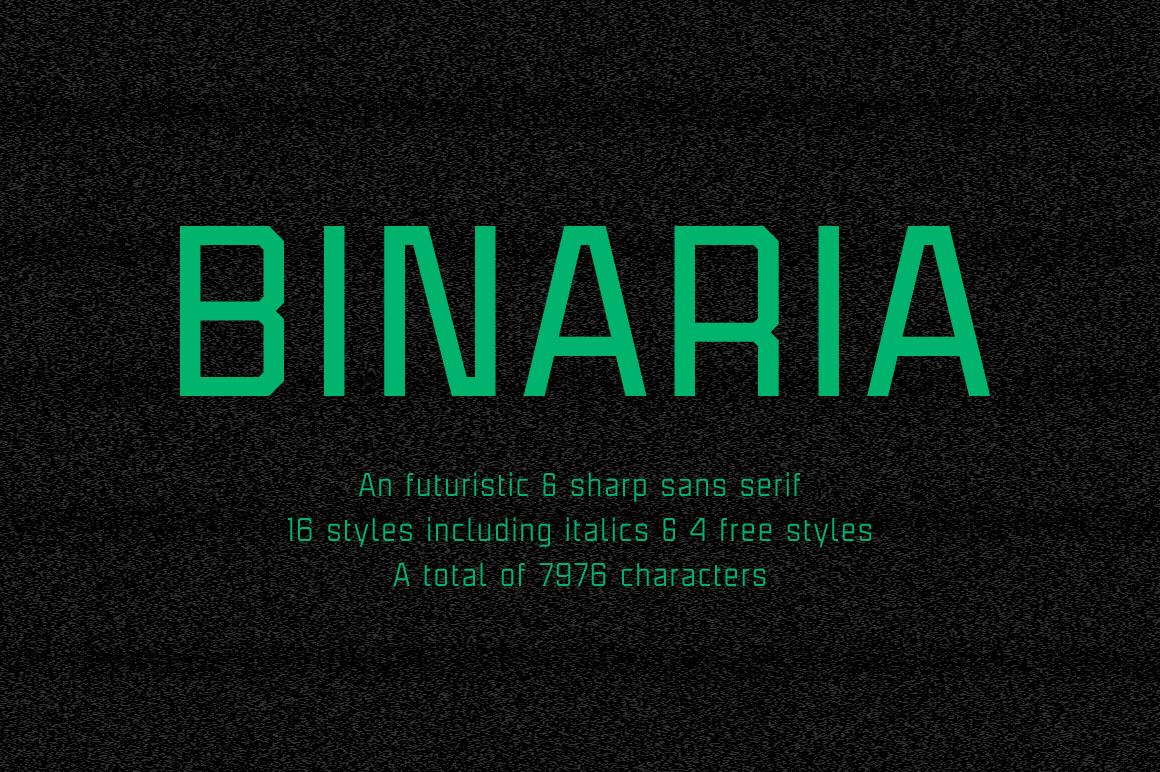 Binaria Family Font