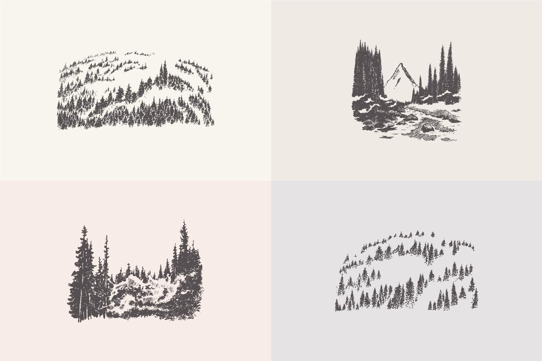 Collection of Forest Landscapes