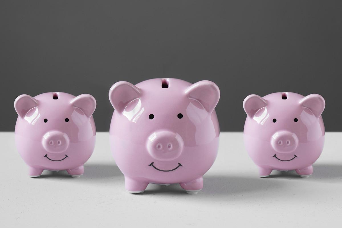 Piggy Bank or Piggybank or Money Box Family