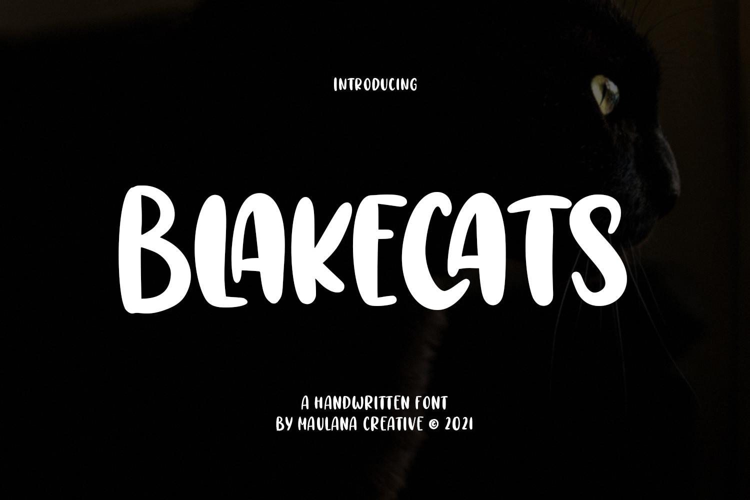 Blakecats Font