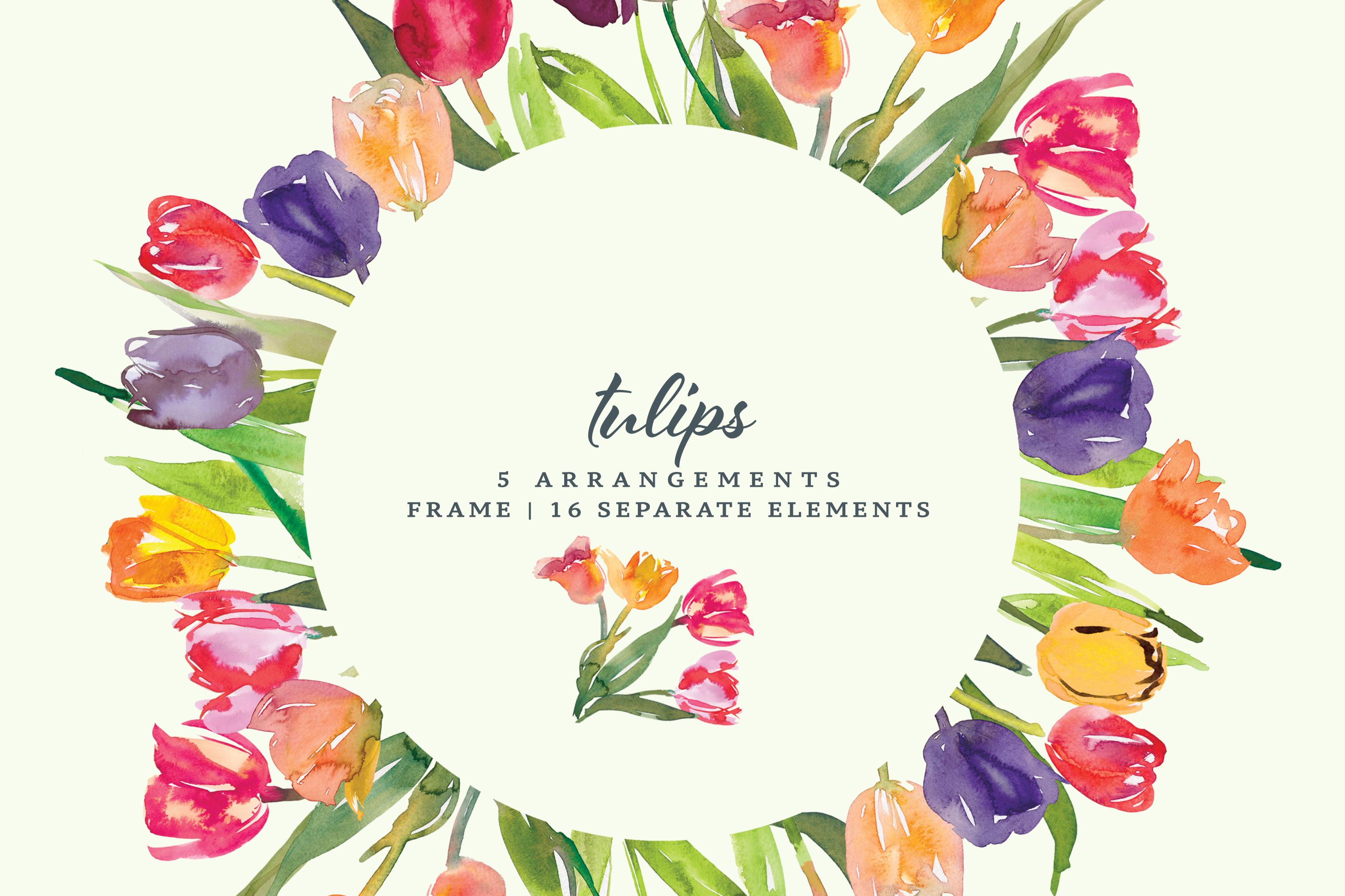 Watercolor Tulip Clipart Collection