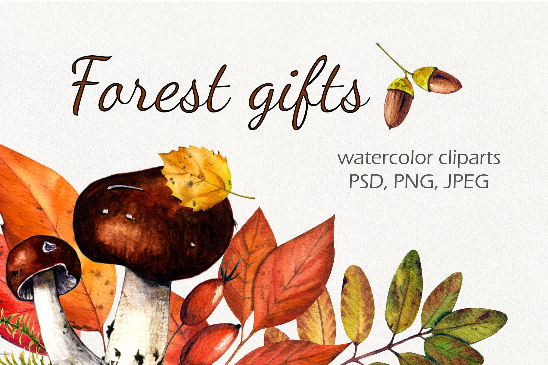"Forest Gifts" Watercolor Set