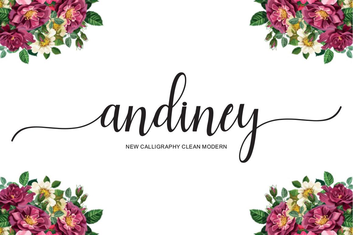Andiney Script Font
