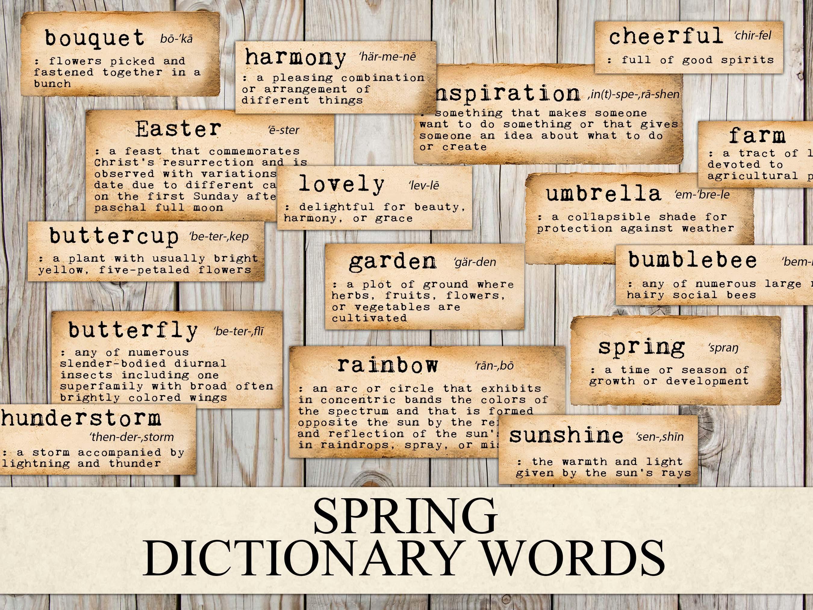 Spring Dictionary Word Definitions