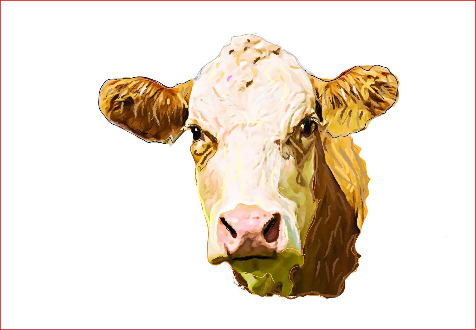 Cow Png, Sublimation Graphics, Clipart
