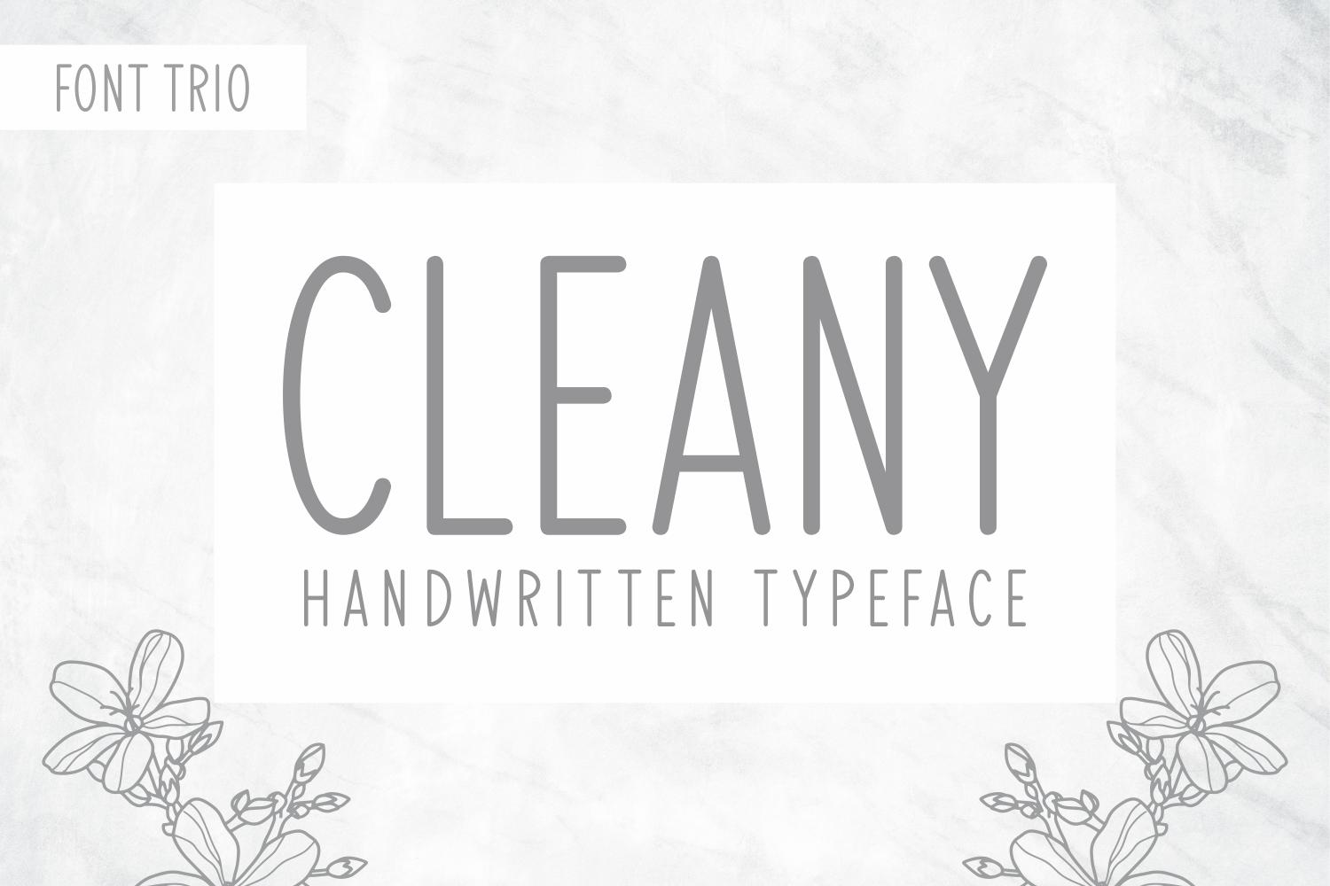 Cleany Font