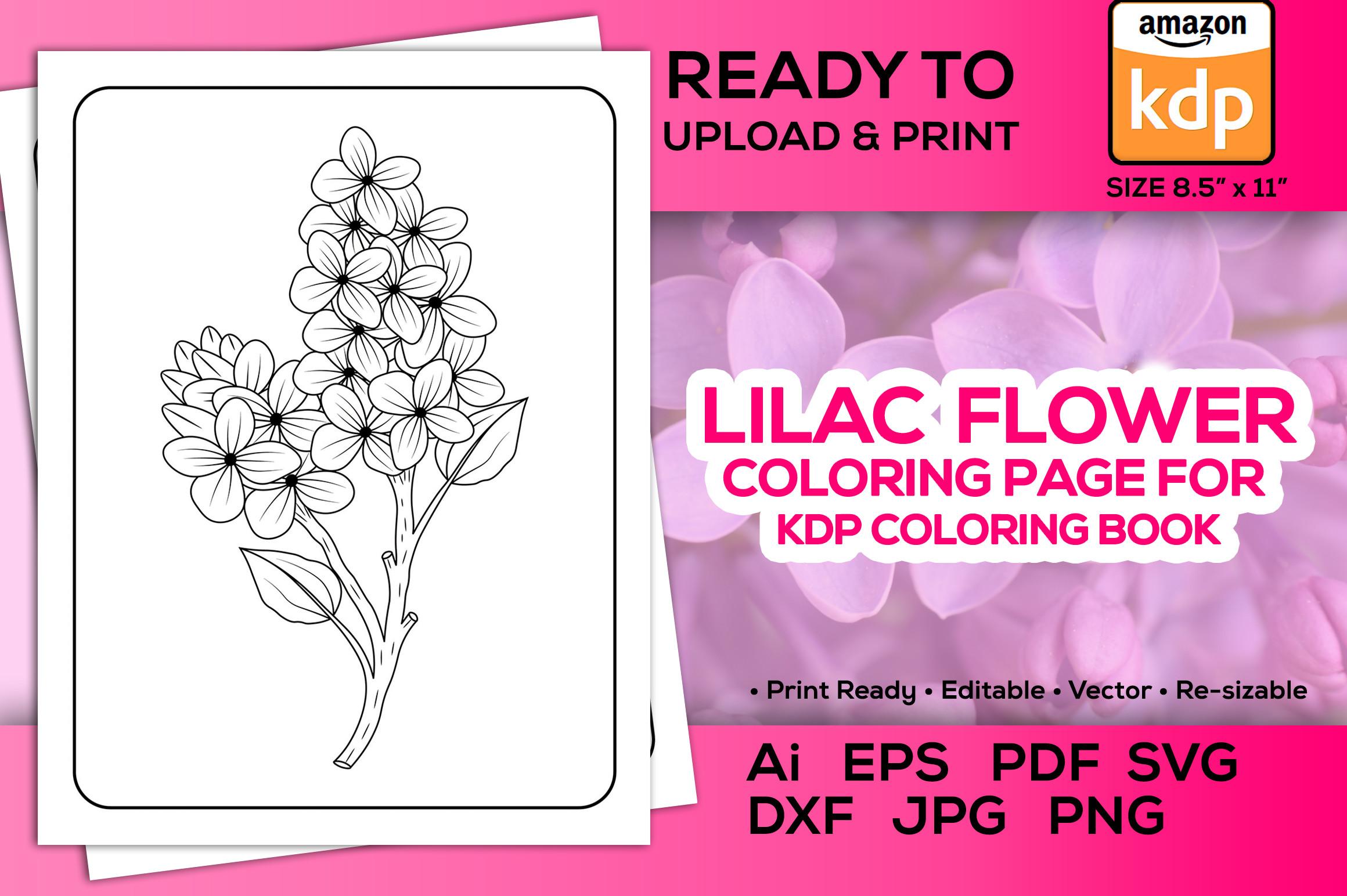 Lilac Flower Coloring Page Book for Kdp