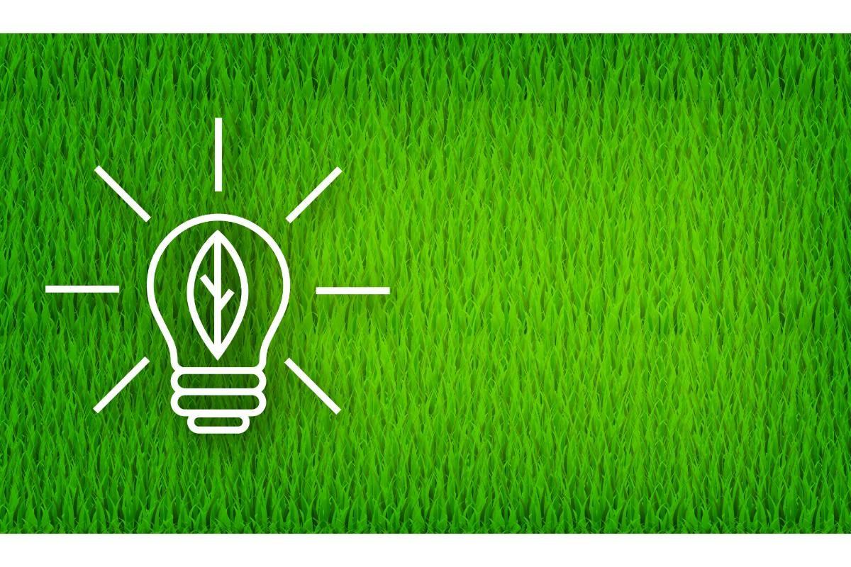 Light Bulb Line Icon on Green Background